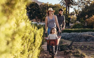 Thinking of a tree change? You might find more affordable homes